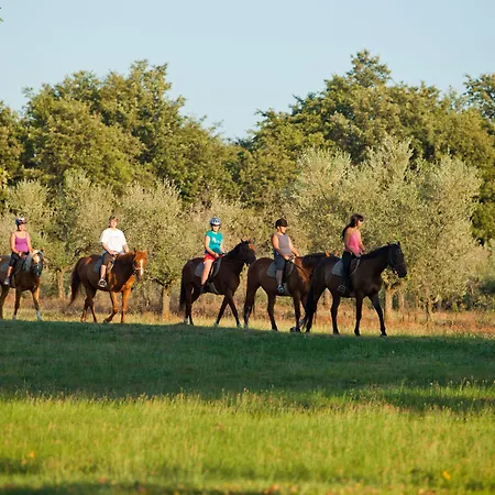 Apartments Astra Plava Laguna 2* Poreč